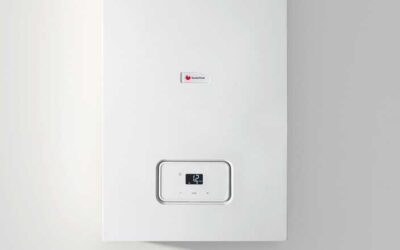 Manual de utilizare Saunier Duval + Coduri Eroare